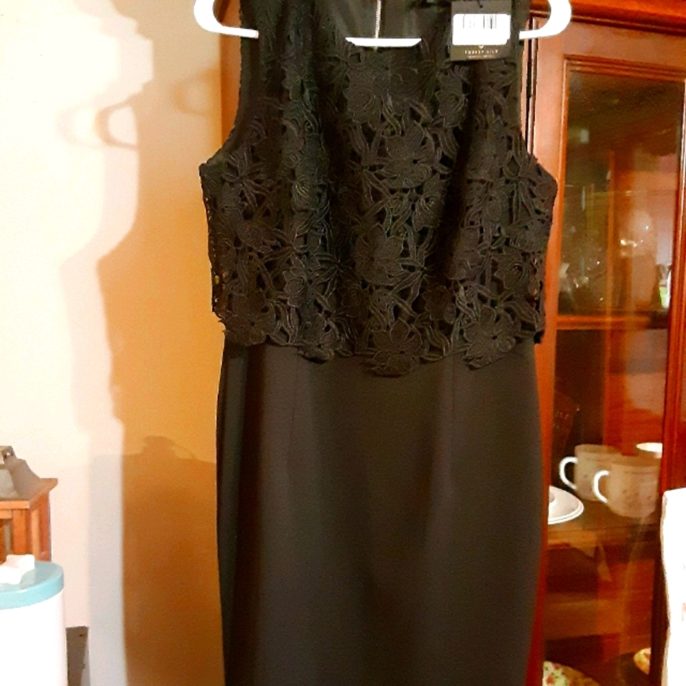 Ladies size 12 nwt forest lily dress